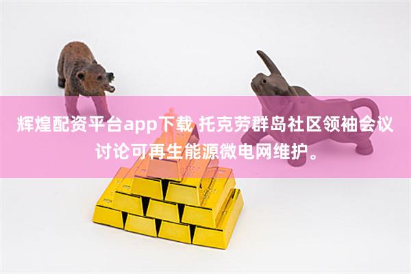 辉煌配资平台app下载 托克劳群岛社区领袖会议讨论可再生能源微电网维护。
